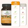 Organic India Ashwagandha Root Ayurvedic Herbal Supplement, 90 Capsules