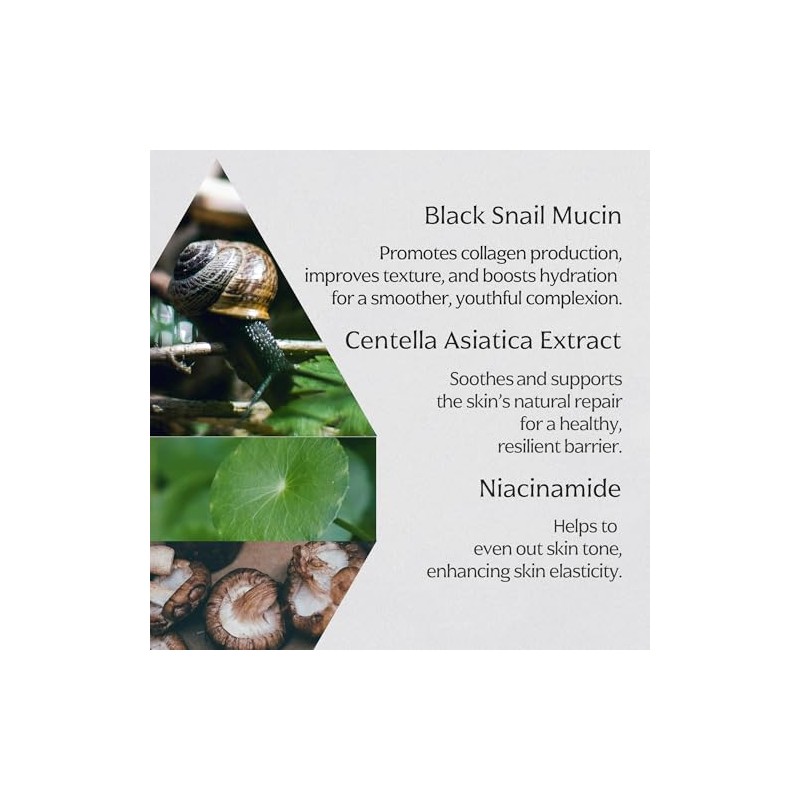 Mizon Black Snail All in One Cream, Elasticity Care and