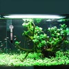 AIMALL Compact Suction Cup Thermometer for Fish and Turtle Tanks,