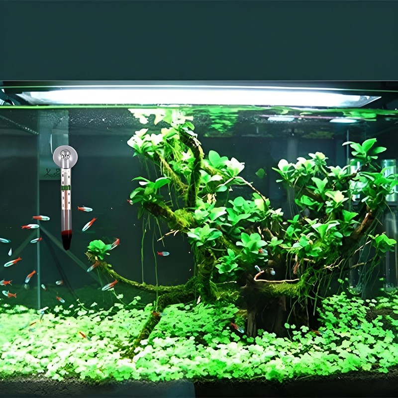AIMALL Compact Suction Cup Thermometer for Fish and Turtle Tanks,