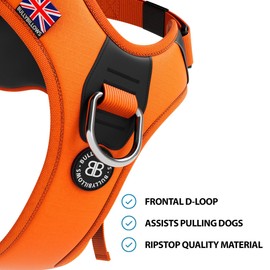 BullyBillows Hurricane Harness | Non-Restrictive Dog Harness | Made With Durable Materials | Suitable For All Dog Breeds | Stainless Steel Dog Harness | Orange Extra Small