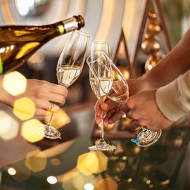 starfa lab 30 PCS Wine Glass Set Charms for Stem Glasses Markers Glass Tags Wine Glass Identifier Charms Drink Markers for Glasses Travel Beach Themed for Party Supplies (Party)