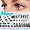 Fairy Lash Clusters Kit Manga Eyelash Cluster Kit Fox Eye
