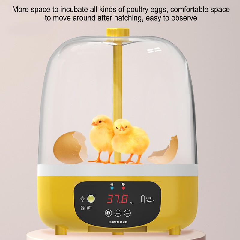 4 Eggs Incubator Temperature Humidity Control Visual Low Noise Energy