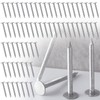 Tandefio 250 Pcs Aluminum Siding Nails Siding and Panel Nails