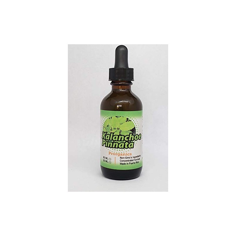 Kalanchoe Pinnata 2oz Tincture Prorganics