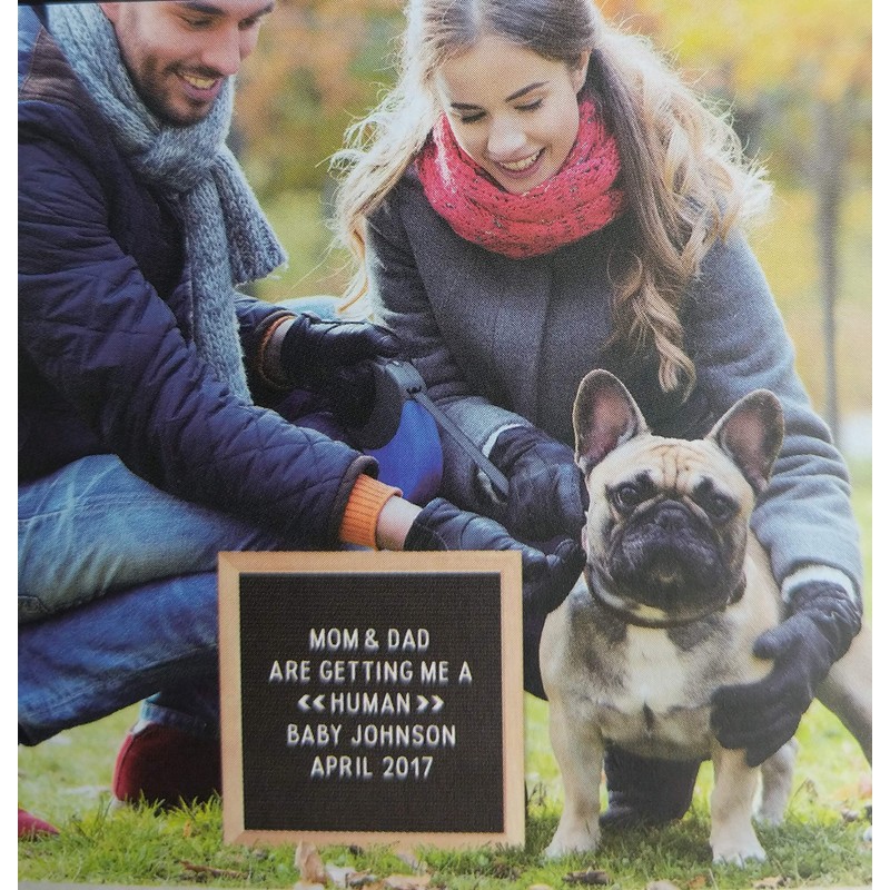 Urban House Design Letter Board