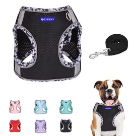 BTDCFY Step in Mesh Dog Harness and Leash Set Breathable Air Mesh Reflective Escape Proof Dog Harness Vest No Choke Lightweight Mesh Dog Harness