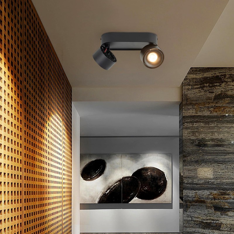 Budbuddy 2 x 12 W LED Ceiling Light Spotlight Black