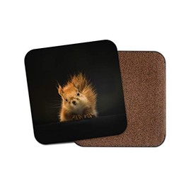1 x Cute Red Squirrel Coaster - Forest Animal Kids British Wildlife Fun #13158