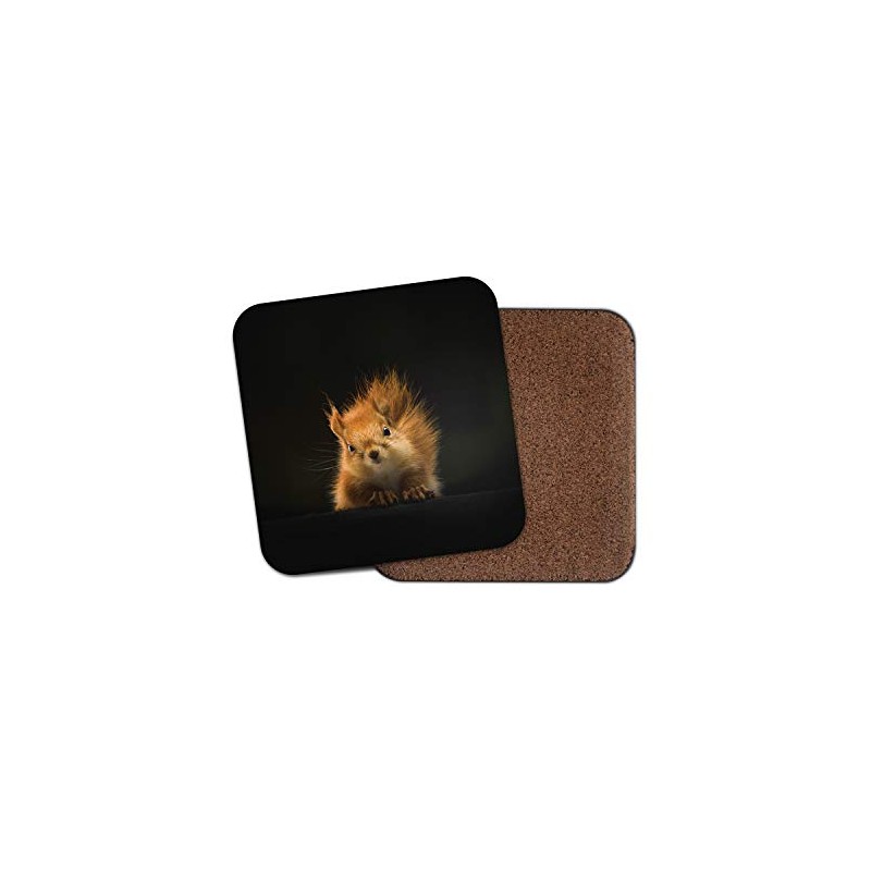 1 x Cute Red Squirrel Coaster - Forest Animal Kids