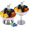 Raguso Stainless Steel Ice Cream Sundae Sorbet Vanilla Pudding Serving