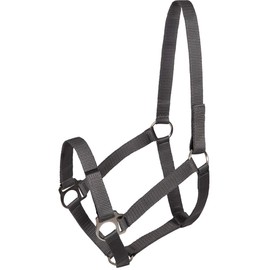 PFIFF Jocose 102921 Safety Halter Paddock Headcollar Grey Shetty