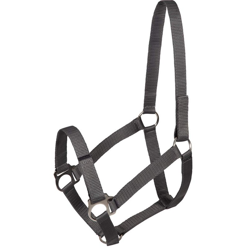 PFIFF Jocose 102921 Safety Halter Paddock Headcollar Grey Shetty