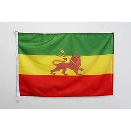 AZ FLAG Ethiopia with Lion Flag 2' x 3' for Outdoor - Lion of Judah Ethiopian Flags 90 x 60 cm - Banner 2x3 ft Knitted Polyester with Rings