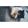 Aime Cat Toy Interactive Playful Sound Level Built-in Cat Toy