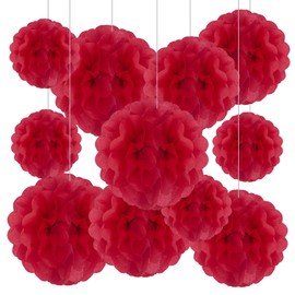 Tissue Paper Pom Poms, Red Tissue Paper Flowers, Hanging Flower Balls for Weddings Fiesta Parties Birthday Baby Showers Classroom Bridal Shower Decoration (20Piece Set-6/10/12/14Inch)