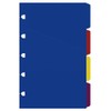 Pocket Classic Brights Notebook Blank Index 4 tabs Assorted