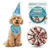 JT PET Dog Gotcha Day Party Pack with Bandana, Star