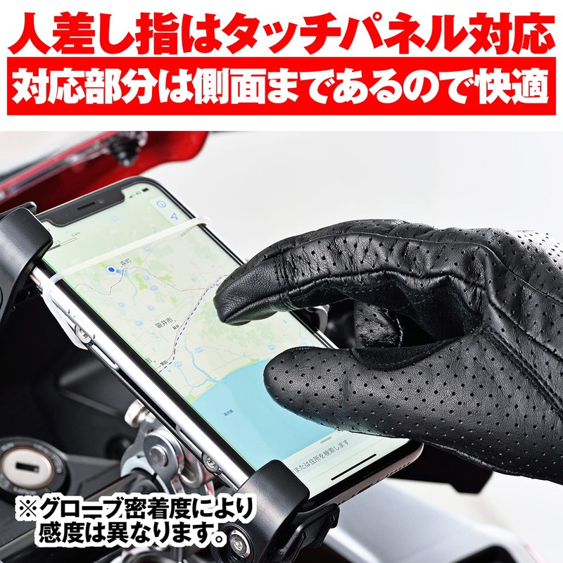 Daytona 18902 Motorcycle Gloves, Spring, Summer, Autumn, Genuine Leather (Cow