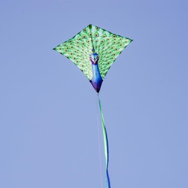 In the Breeze 3291 - Peacock 30 Inch Diamond Kite - Fun, Easy Flying Kite
