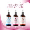 Kit Serum facial Acido Hialurónico, Vitamina C y Células Madre