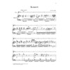 Concerto for Flute and Orchestra D major KV 314 -