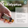 doTERRA Eucalyptus Radiata Essential Oil - 15 mL