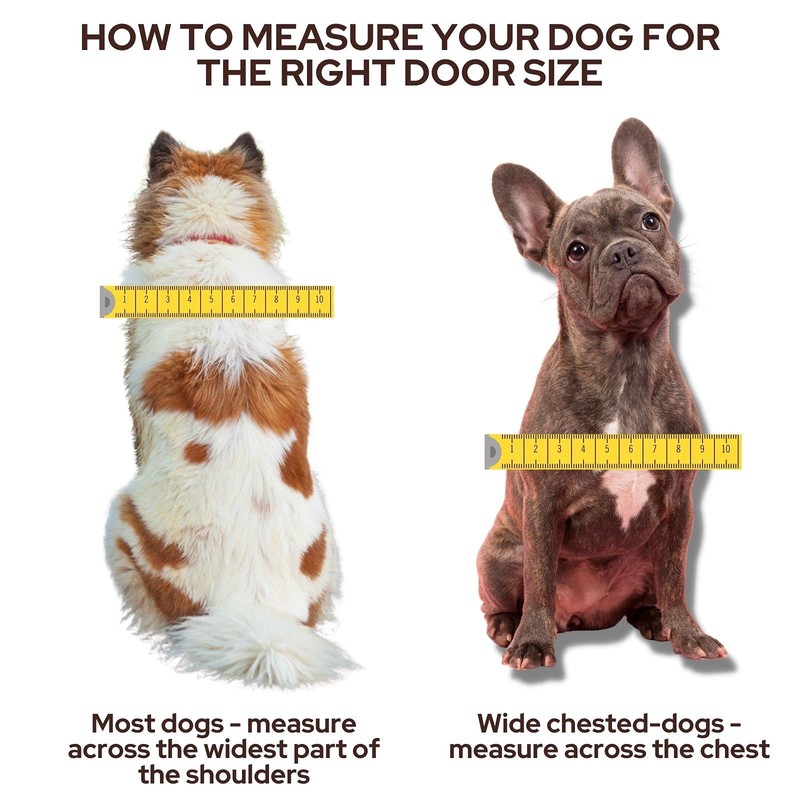 Transcat Polycarbonate Cat Door, Clear