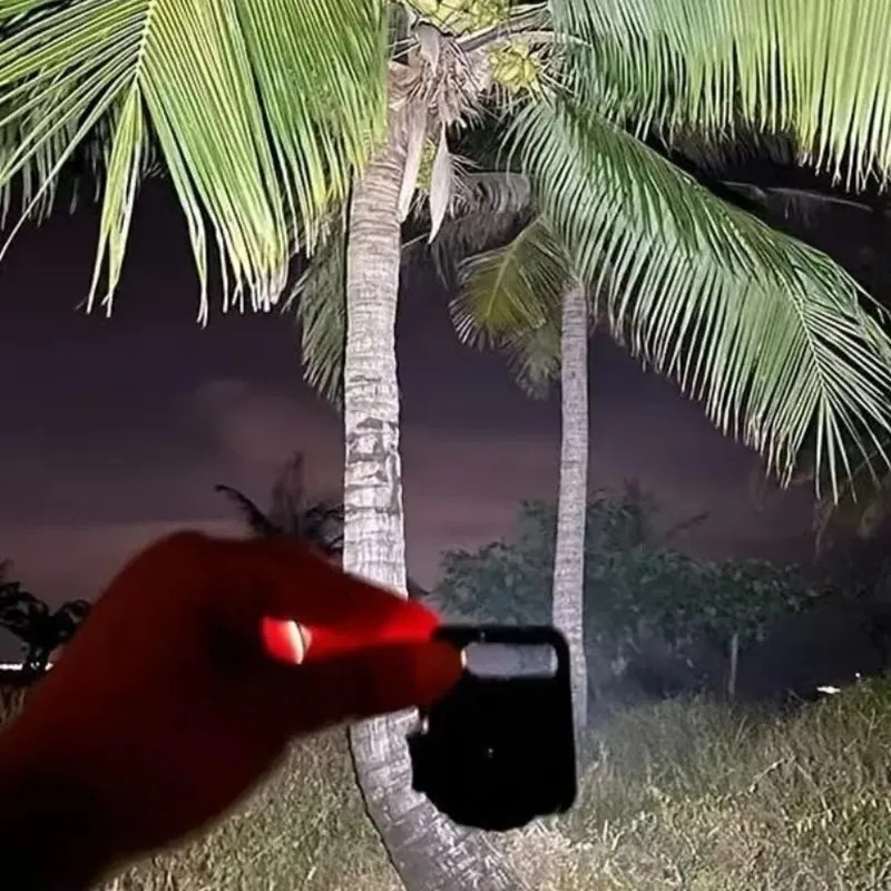 10 Piezas Linterna Lampara Recargable Led De Lampara Llavero Blanco