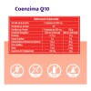Coenzima CoQ10 | Efecto antioxidante | Favorece el funcionamiento de