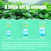 Rylenor 3 oz Peppermint Extract, Pure Mint Extract for Ice