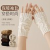 Korean Style Women's Autumn Winter Knit Arm Warmers & Wrist Protectors Straw Yellow + Free Size 10ea