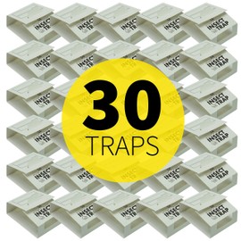 S&T INC. Insect Traps, 30 Count, Glue Traps for Brown Recluse, Hobo Spiders, Black Widows, Use in Home, Basement or Garage, or Utility Rooms for Pest Control