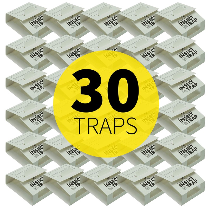 S&T INC. Insect Traps, 30 Count, Glue Traps for Brown