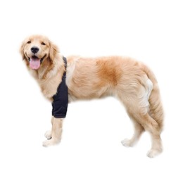 Blue Dream Island Dog Knee Brace Protector for Medium Large Dogs XL Black