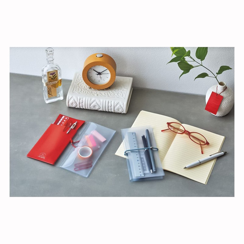 LIHIT LAB A7941-24 Anti-Bacterial PVC Flat Pencil Case, Transparent, Slim