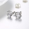 Amy & Annette Caged Crystal Stud Earring - Royal Stud