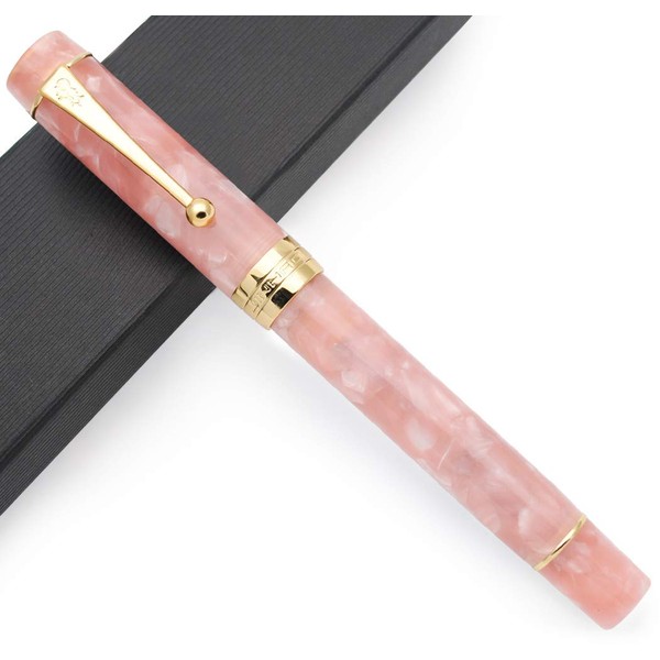 JINHAO 100 Fountain Pen with Ink Converter (Medium Nib 0.7mm,