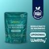Wellthy Bisglicinato Magnesio Liposomal Cápsulas Entrega Optimizada Mas Alta Biodisponibilidad