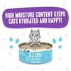 Weruva B.F.F. PLAY - Best Feline Friend Paté Lovers, Aw