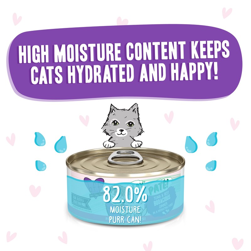 Weruva B.F.F. PLAY - Best Feline Friend Paté Lovers, Aw