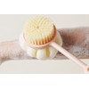 Bath Brush Scrub Back Long Handle Brush Scrub Back Clean