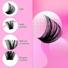 Cluster Lashes D Curl Lash Clusters 280 Pcs Lash Extension