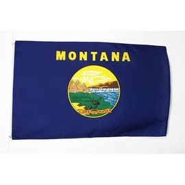 AZ FLAG - Montana Flag - 3x5 Ft - 100D Polyester Us State Of Montana Banner with Two Metal Grommets - Fade Resistant - Vivid Colors - 3' x 5' Feet - 150x90 Cm