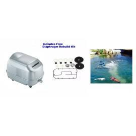 Danner Pondmaster AP-20 Air Pump Aerates Ponds up to 2,500 Gal +Free Diaphragm KIT