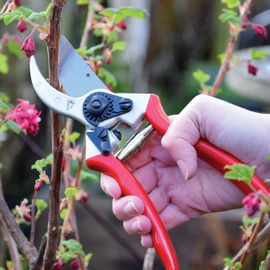 Spear and Jackson Razorsharp Professional Heavy Duty Bypass Secateur