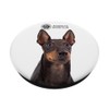 AKC Manchester Terrier (Toy) Photo PopSocket