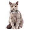 Faleela Breakaway Cat Collar with Bells - 2 Pack Cat