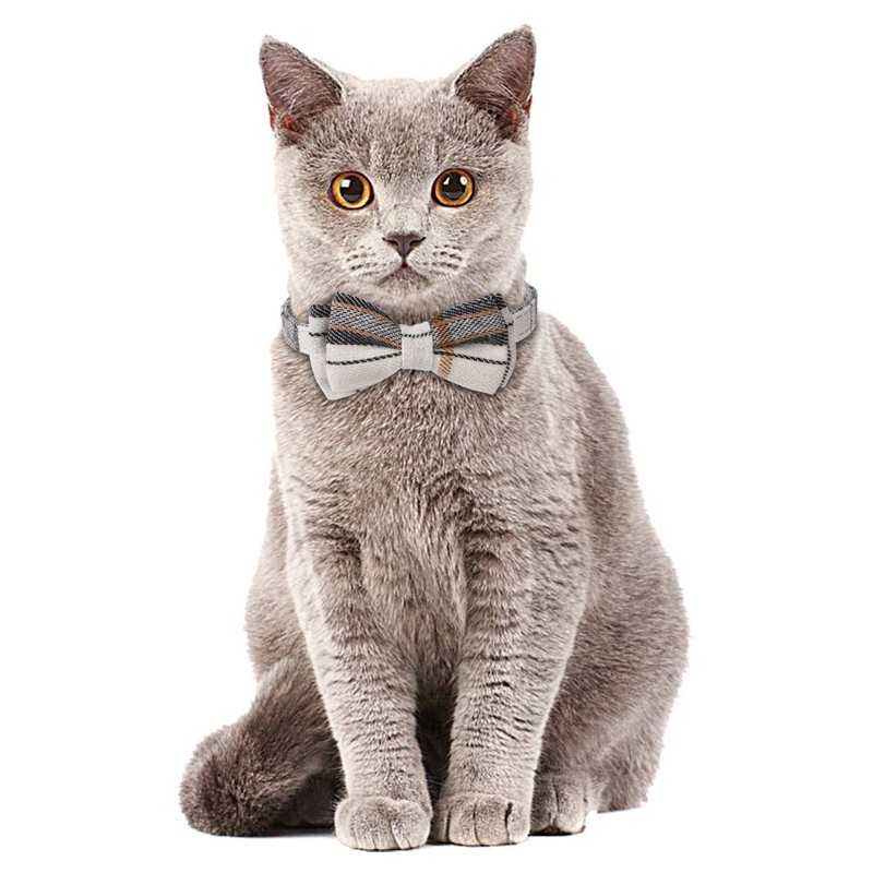 Faleela Breakaway Cat Collar with Bells - 2 Pack Cat